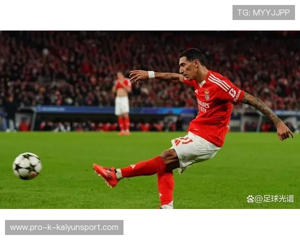 本菲卡关键阶段，迪马利亚站出来