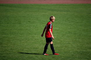 开云在线入口-NBA球员训练方法创新，nba球员训练视频,篮球技术