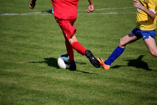 开云体育官网上-世界马拉松大满贯赛事上海站开跑，世界马拉松大满贯赛事上海站开跑时间