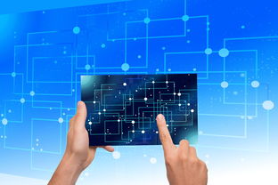 开云体育官网上-中国篮球教练员执教能力提升路径研究，中国篮球教练员岗位培训a级教程书籍